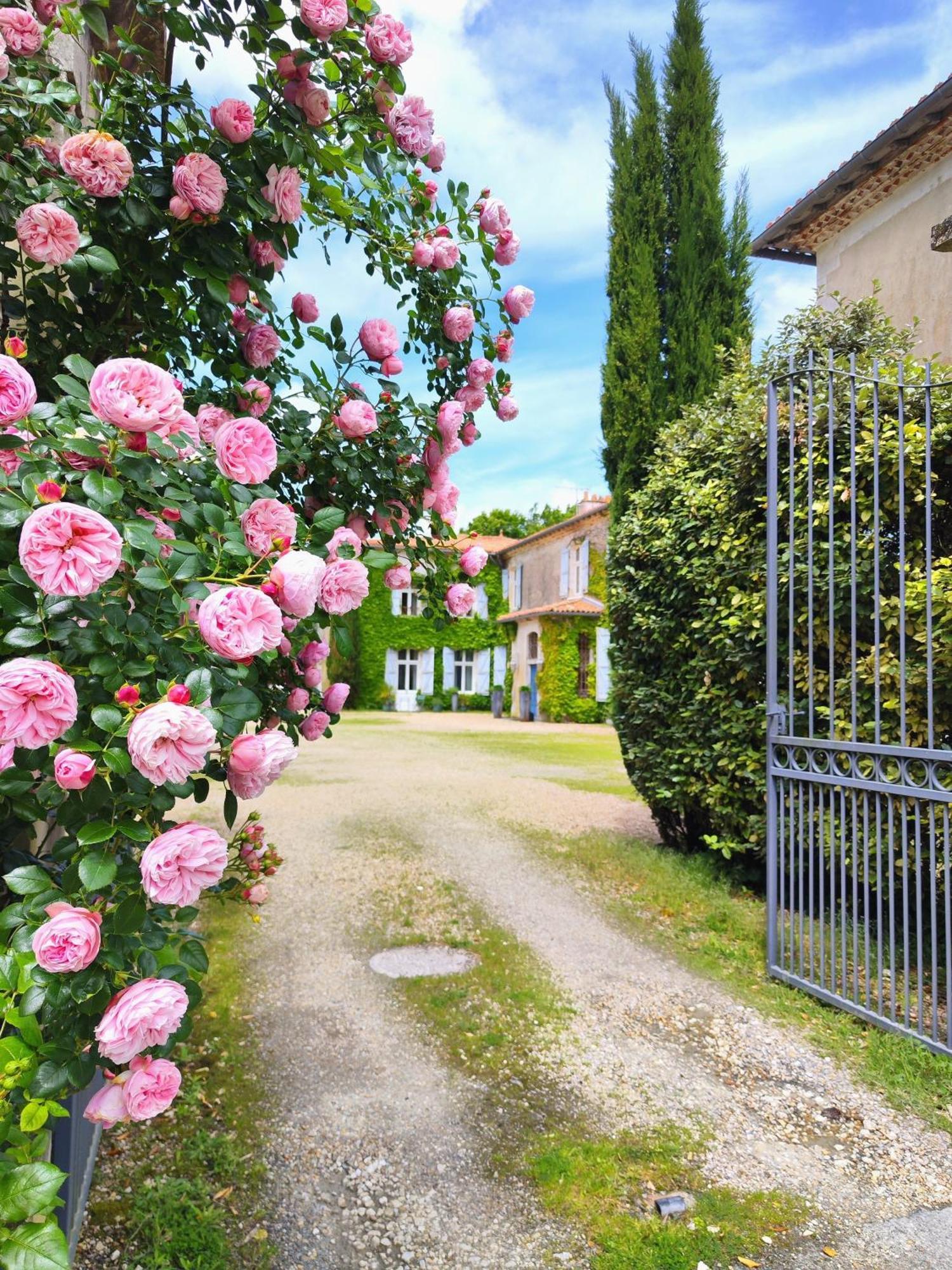 Hotel Chateau De Didonne Sémussac Kültér fotó